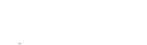 FOLIC MEDIA